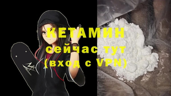 сатива Мегион