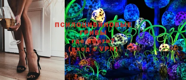 сатива Мегион