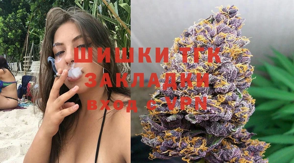 сатива Мегион