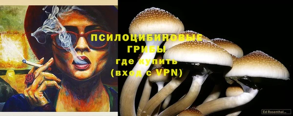 винт Медвежьегорск
